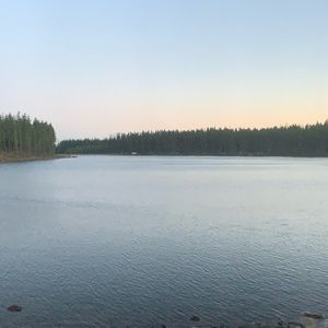 Meet your Posher, Daisy